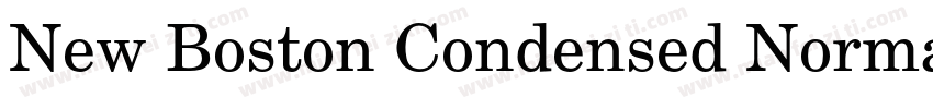 New Boston Condensed Normal字体转换